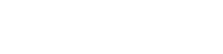 www.iceopro.com