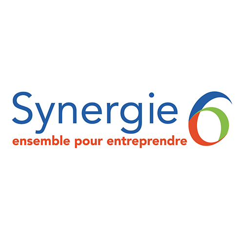 Synergie 6